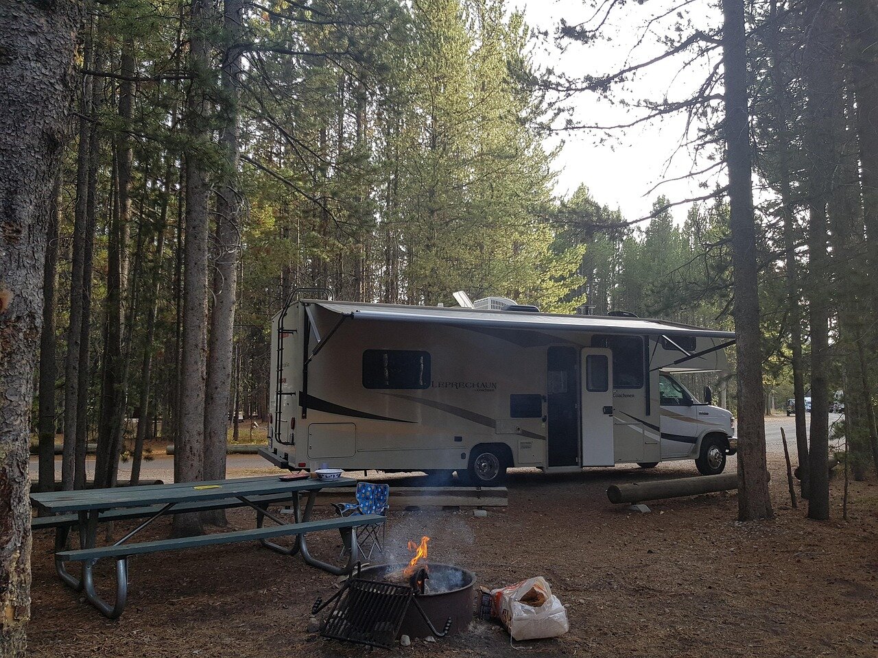 Motorhome parked in a forest campsite